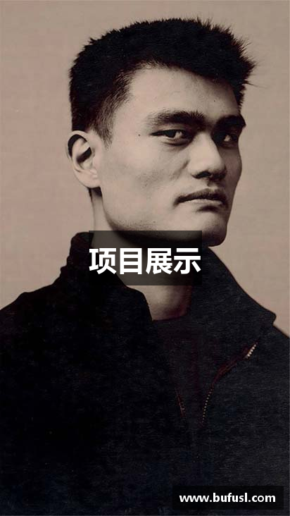 项目展示